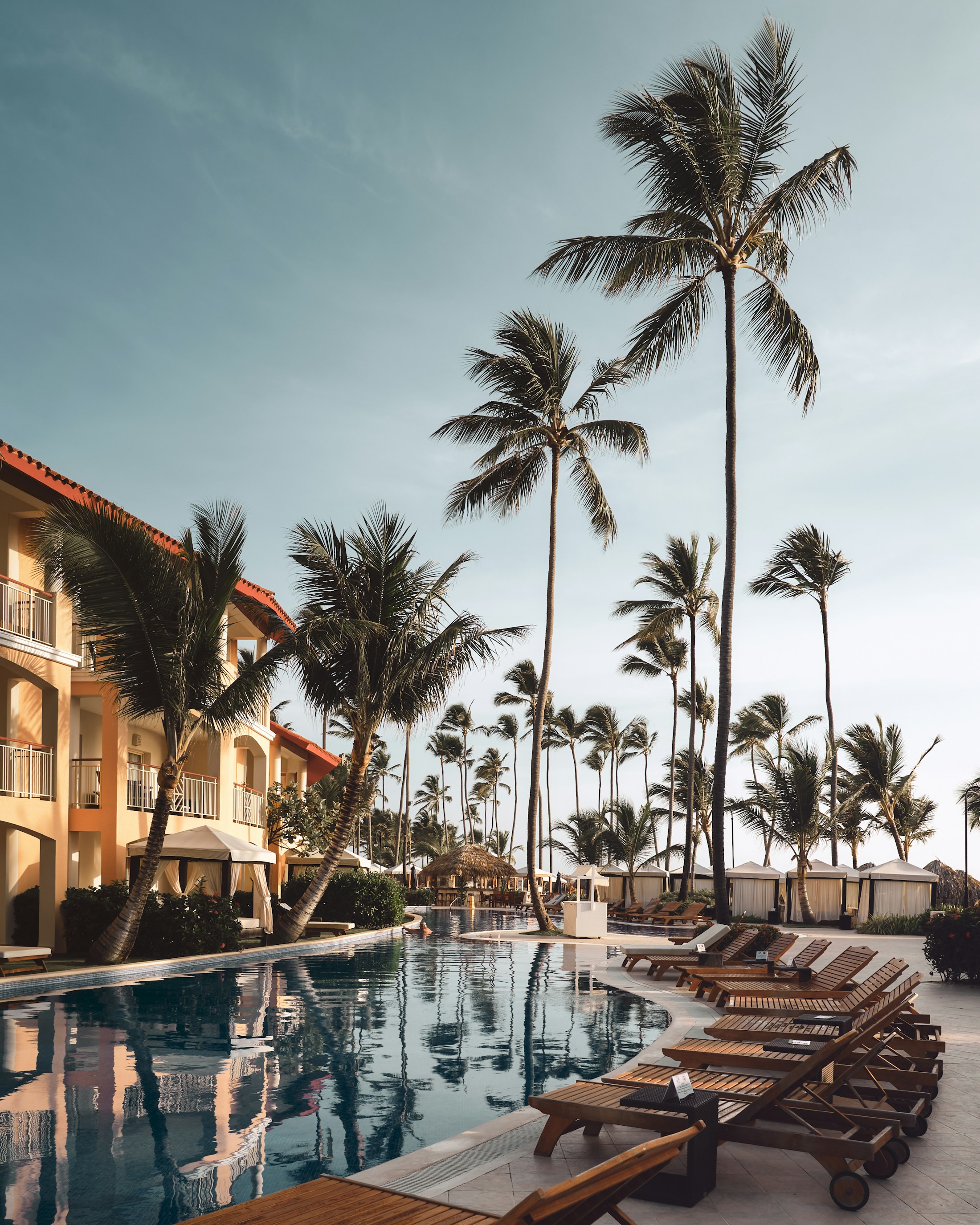 Luxury resort pool with palm trees and lounge chairs